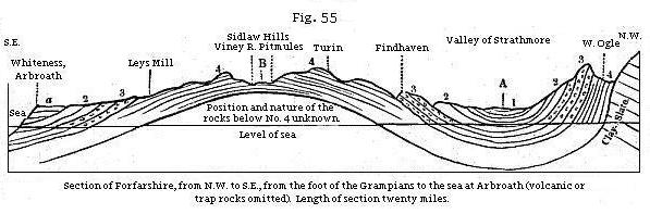 Figure 55 - Forfarshire Arch