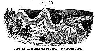 Figure 63 - The Swiss dura is demonstrated