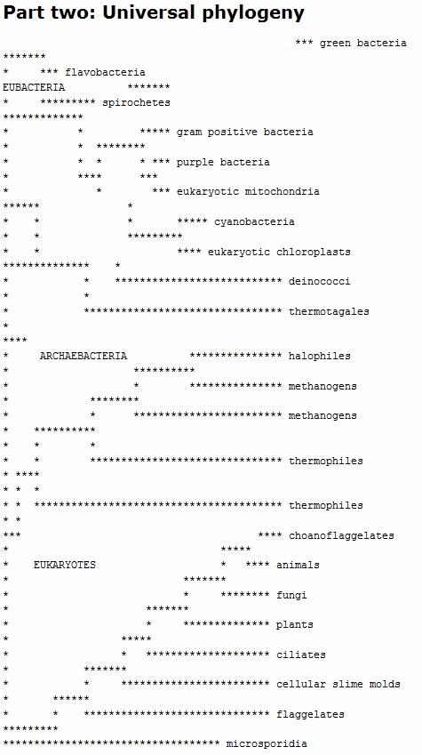 Universal Phylogeny - A very groovy table made up of courier type and lots of cool asterisks.